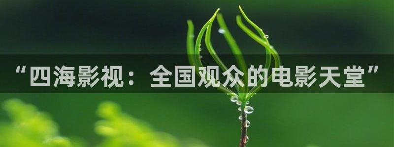 飘花电影免费观看高清