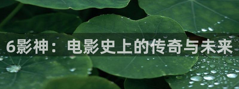 飘花影院午夜片